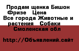 Продам щенка Бишон Фризе › Цена ­ 30 000 - Все города Животные и растения » Собаки   . Смоленская обл.